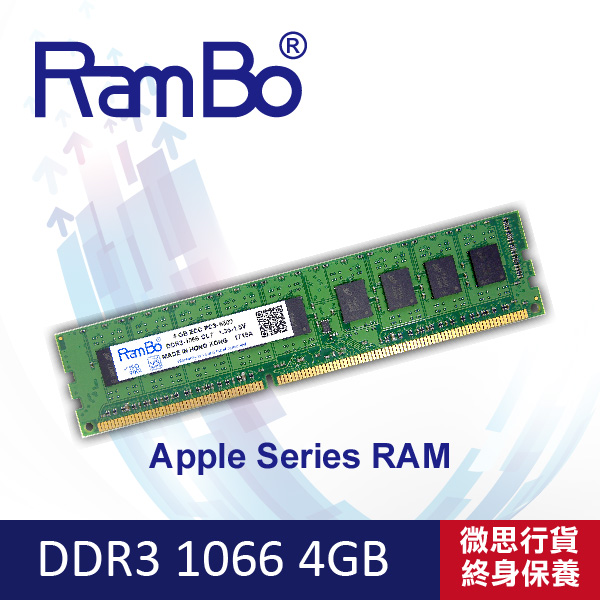 RamBo ECC DDR3-1066